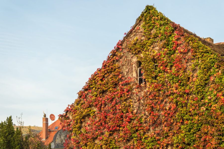 BILDWERK_Architektur_Fotografie_Visualisierung_drauschke-fliegel_Radebeul_Villenpark_Dresden_02