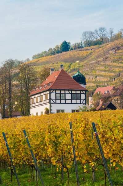 BILDWERK_Architektur_Fotografie_Visualisierung_drauschke-fliegel_Radebeul_Villenpark_Dresden_03