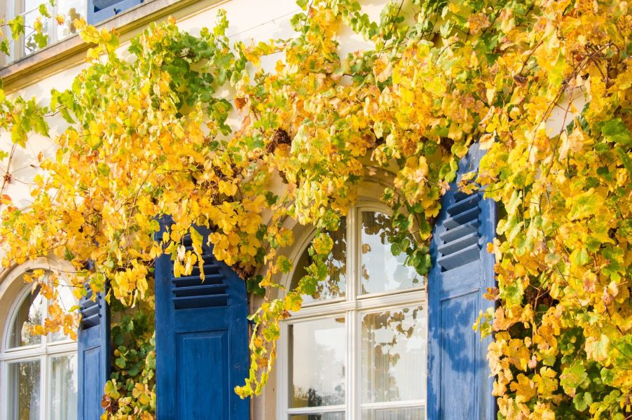 BILDWERK_Architektur_Fotografie_Visualisierung_drauschke-fliegel_Radebeul_Villenpark_Dresden_04