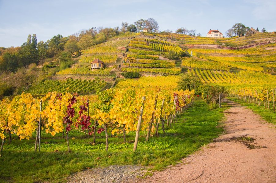 BILDWERK_Architektur_Fotografie_Visualisierung_drauschke-fliegel_Radebeul_Villenpark_Dresden_06
