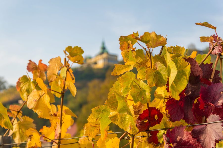 BILDWERK_Architektur_Fotografie_Visualisierung_drauschke-fliegel_Radebeul_Villenpark_Dresden_07