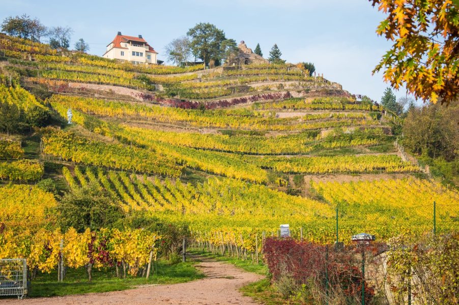 BILDWERK_Architektur_Fotografie_Visualisierung_drauschke-fliegel_Radebeul_Villenpark_Dresden_08