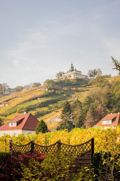 BILDWERK_Architektur_Fotografie_Visualisierung_drauschke-fliegel_Radebeul_Villenpark_Dresden_09